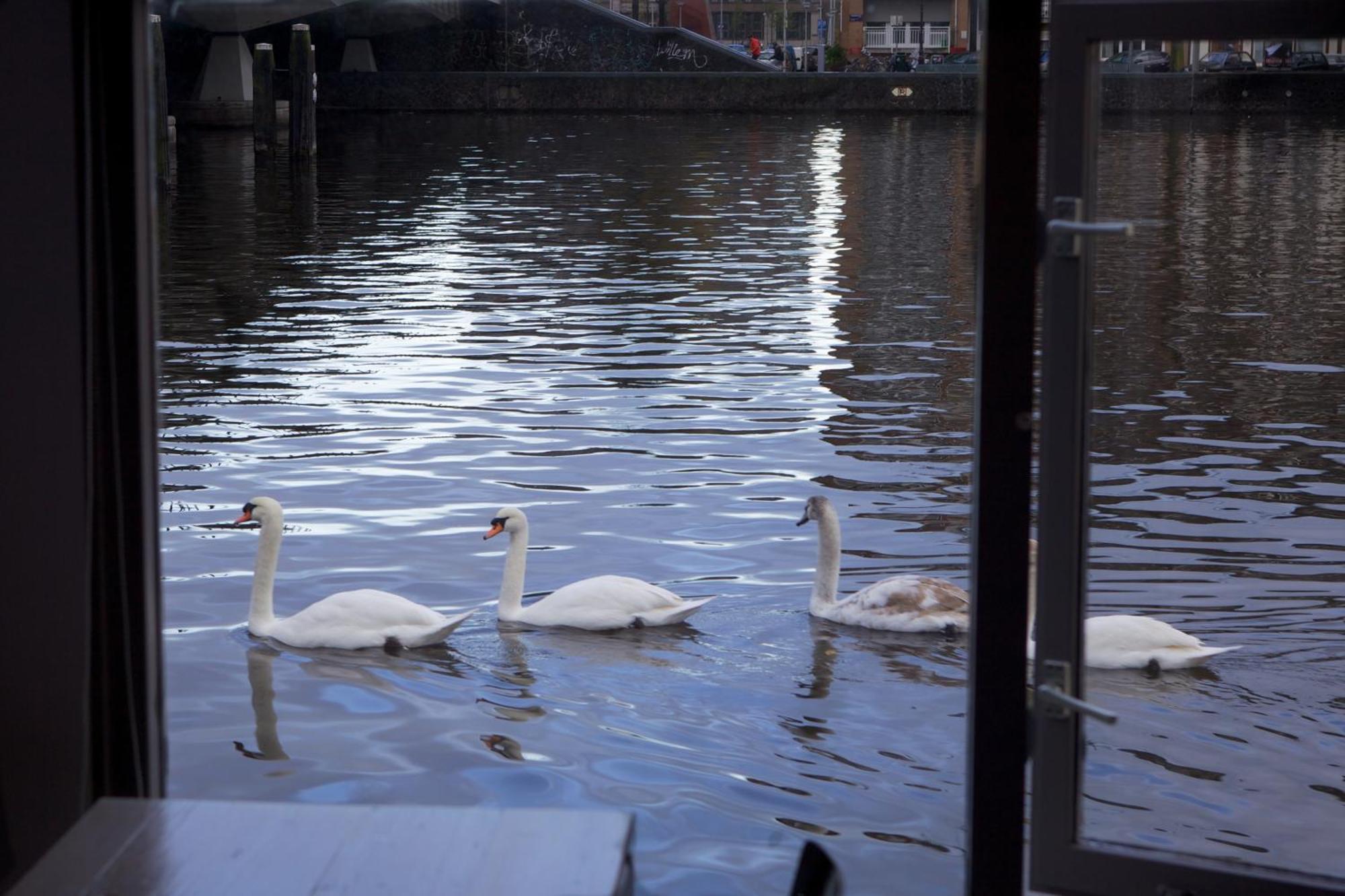 Houseboat Little Amstel Hotel Amsterdam Exterior foto